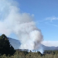 Limitan la prohibición de quemas en terreno forestal
