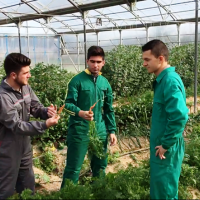 Flores de Bach e invernaderos urbanos entre los finalistas de Expertemprende