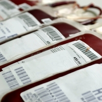 Los extremeños continúan imbatibles en donación de sangre