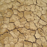 Cooperativas Extremadura alerta de la &quot;gravísima&quot; situación de sequía