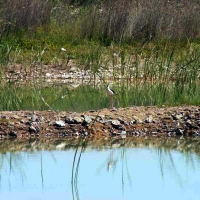 El Chaparral y Los Baselisos ya son Parques Periurbanos