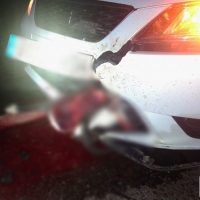 Un animal provoca un accidente que deja 5 personas heridas