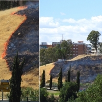 Esta desidia sólo ocurre en Badajoz