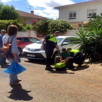 Rescatan en el Vivero a una familia de patos desorientada