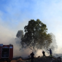 Primer grave incendio de la temporada en Badajoz