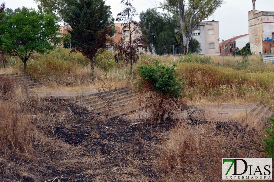 Parque de la Viña: una dejadez política difícil de superar