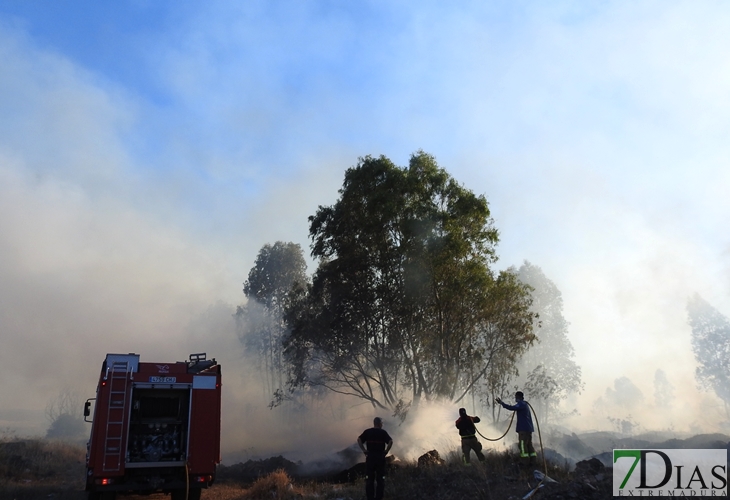 Primer grave incendio de la temporada en Badajoz