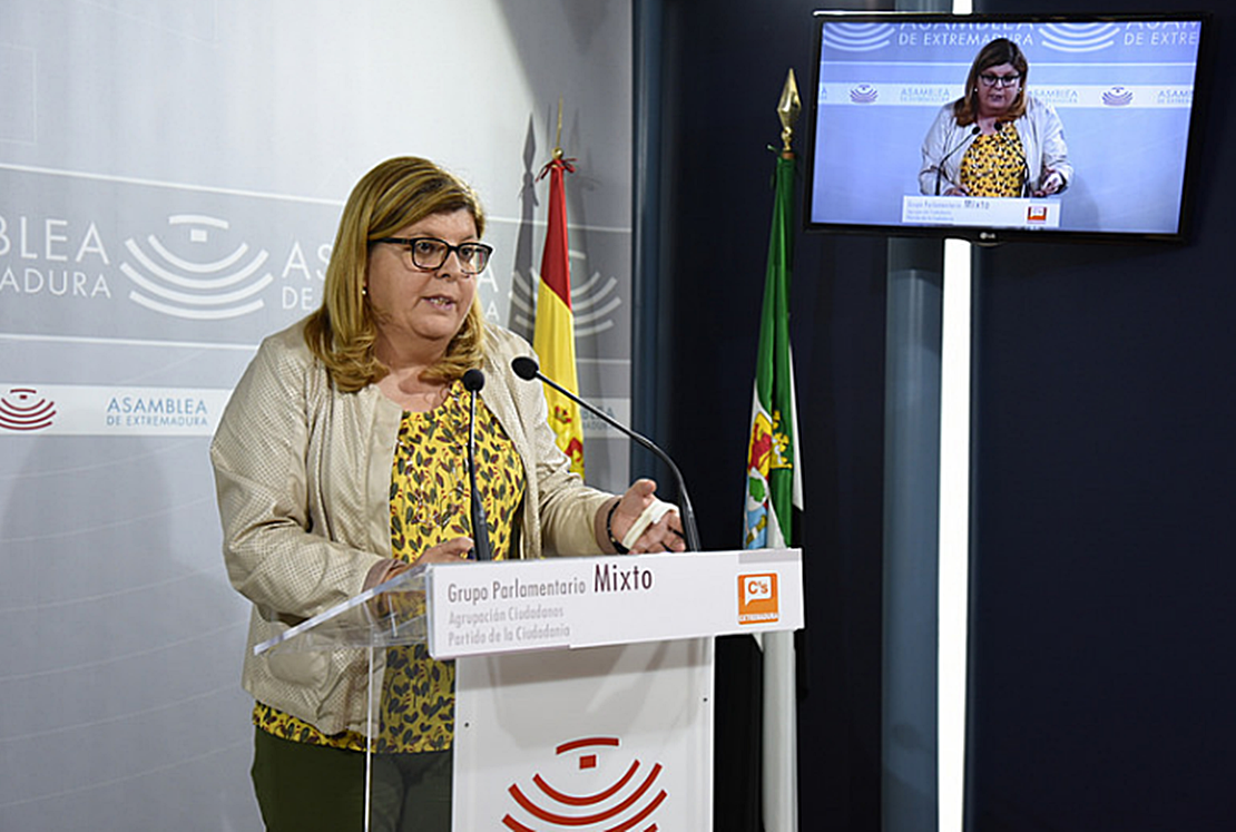 La Fiscalía pide que Domínguez declare como investigada