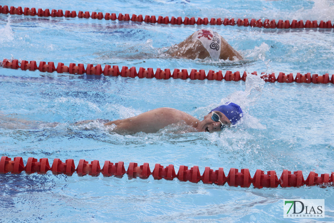 Imágenes del nacional de natación master en Badajoz I