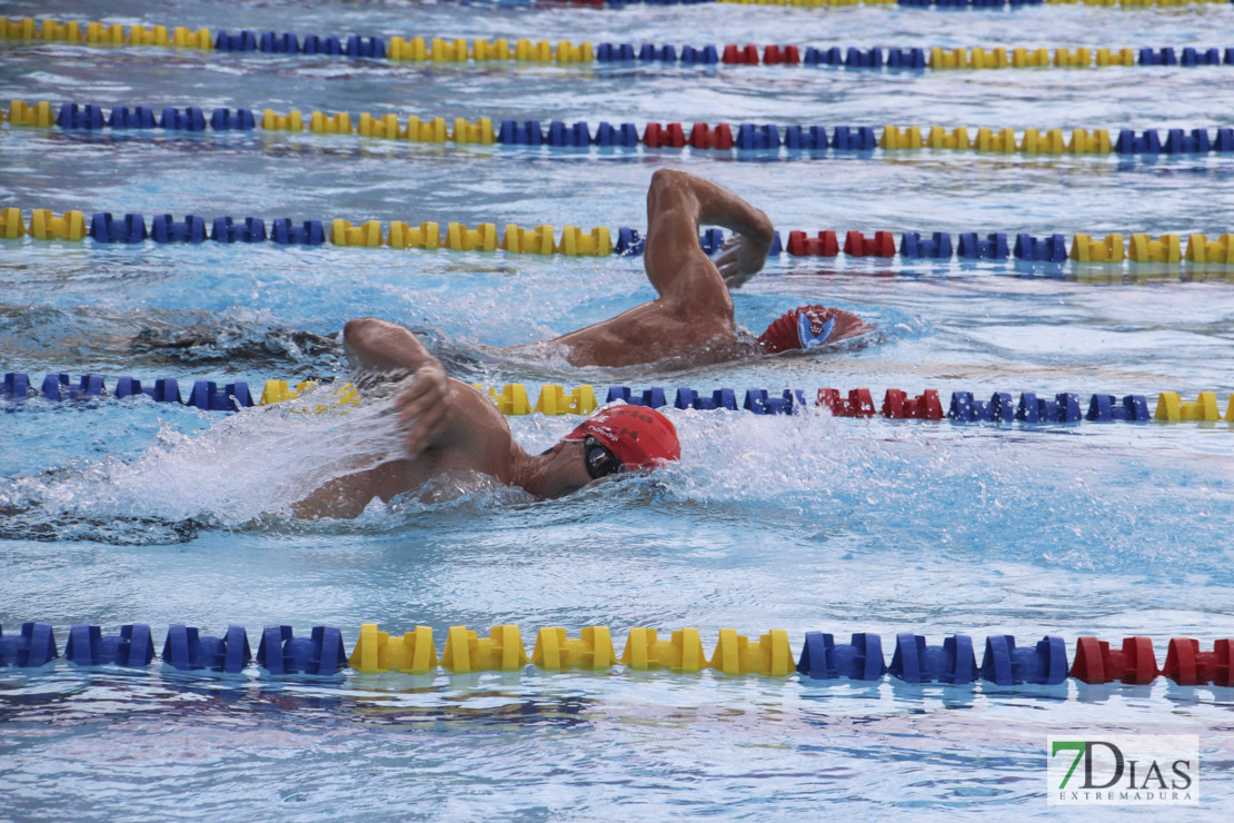 Imágenes del nacional de natación master en Badajoz I