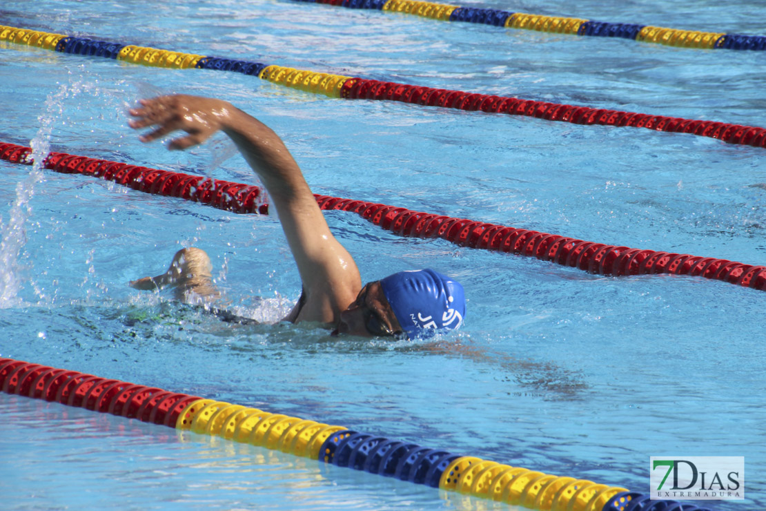 Imágenes del nacional de natación master en Badajoz I