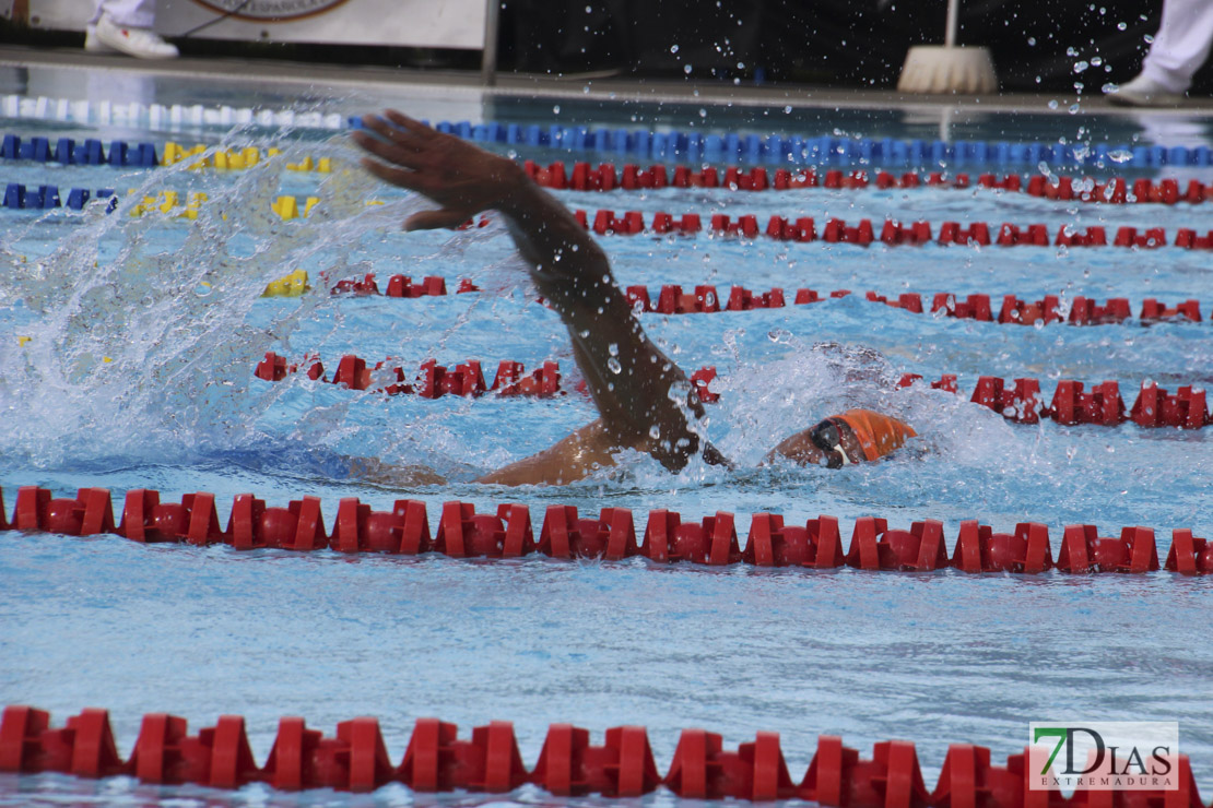 Imágenes del nacional de natación master en Badajoz I