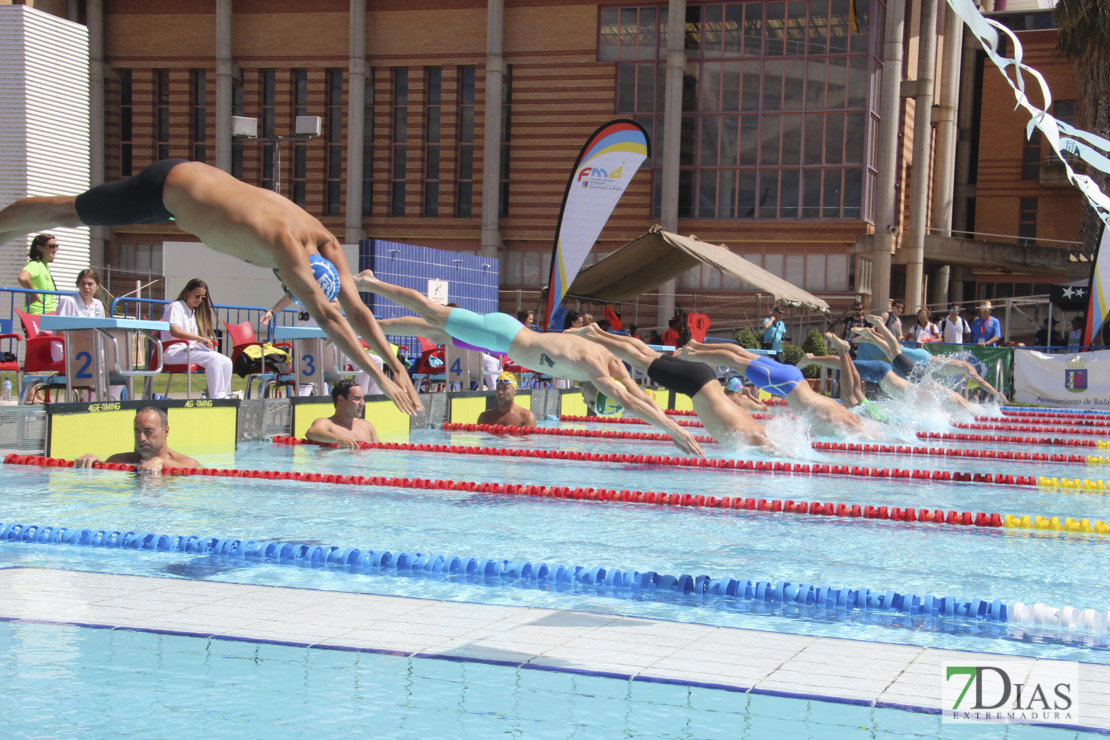 Imágenes del nacional de natación master en Badajoz I