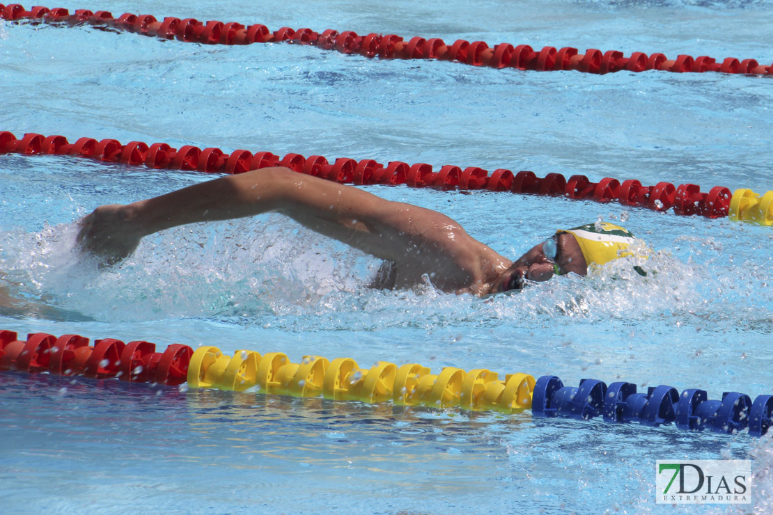 Imágenes del nacional de natación master en Badajoz I