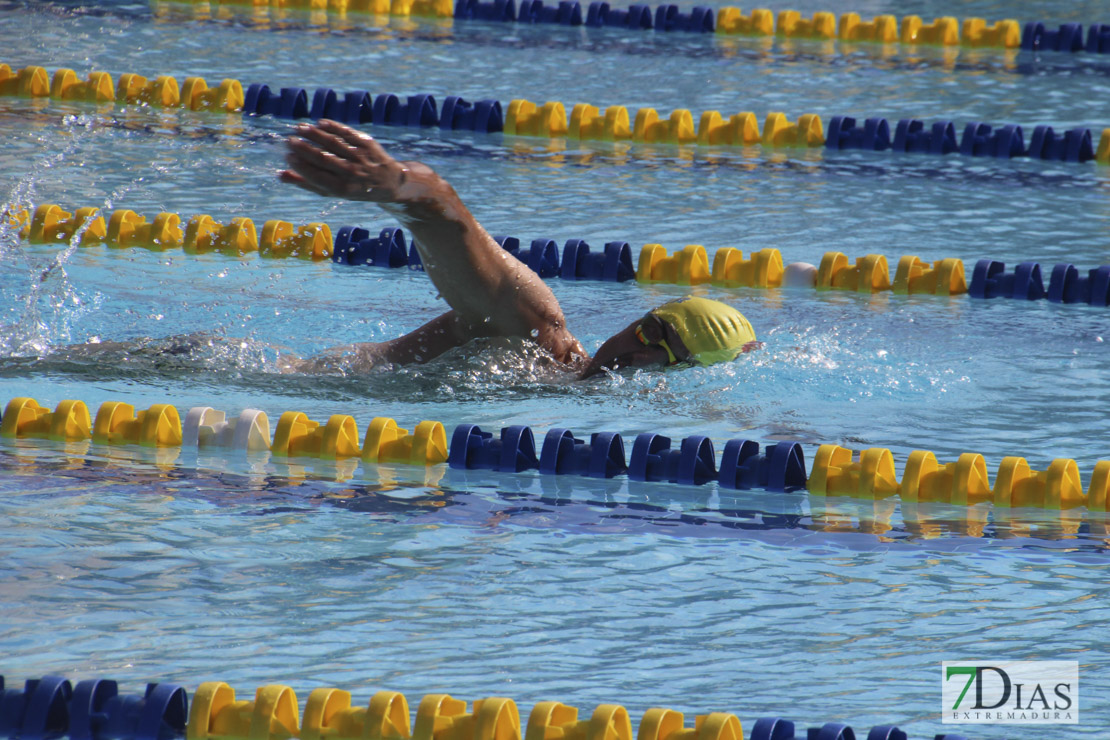 Imágenes del nacional de natación master en Badajoz I