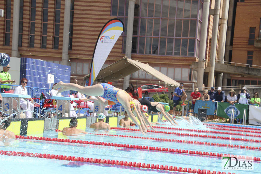 Imágenes del nacional de natación master en Badajoz I