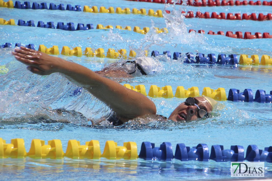 Imágenes del nacional de natación master en Badajoz I