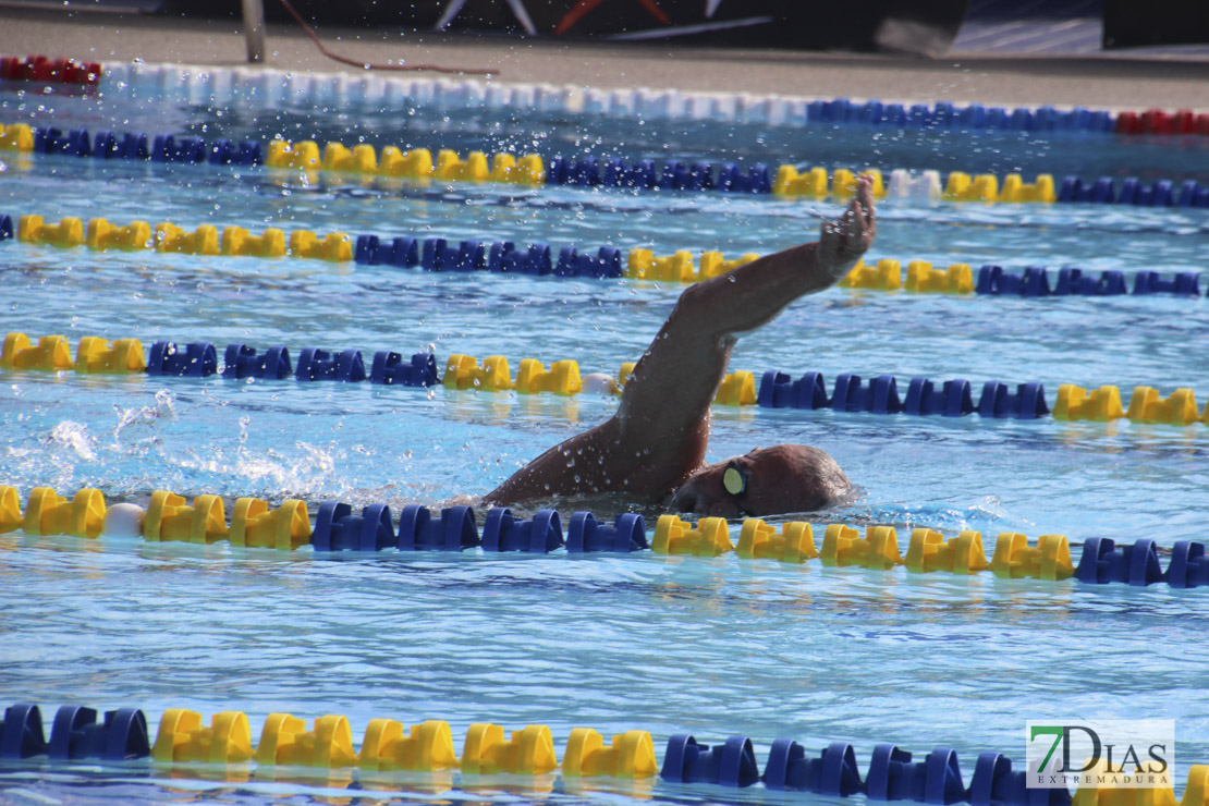 Imágenes del nacional de natación master en Badajoz I