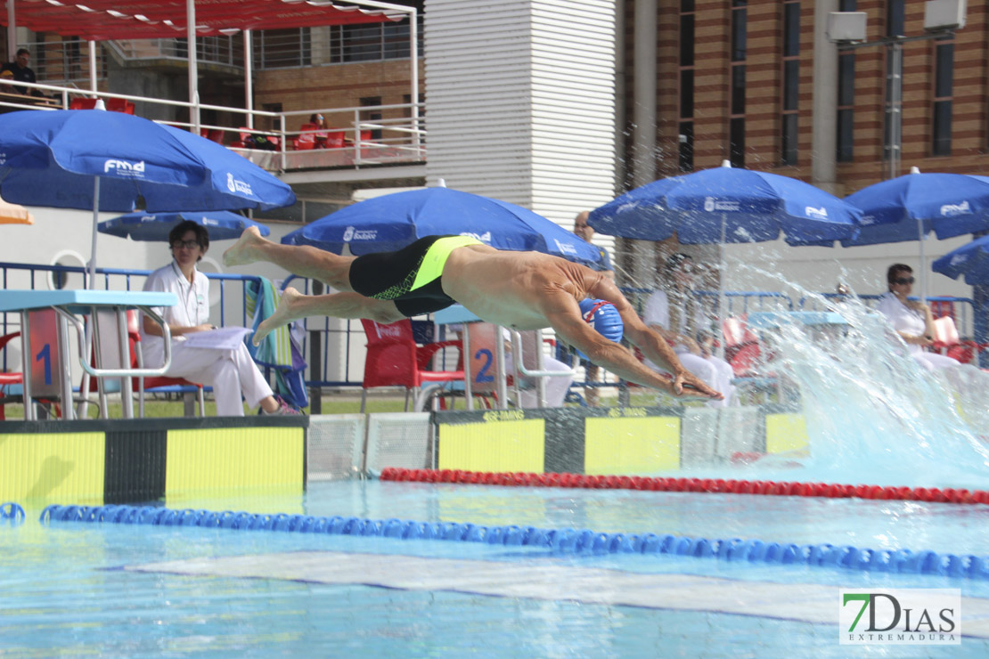 Imágenes del nacional de natación master en Badajoz I