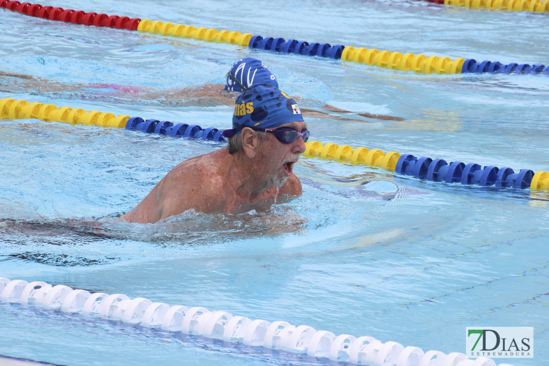 Imágenes del nacional de natación master en Badajoz II