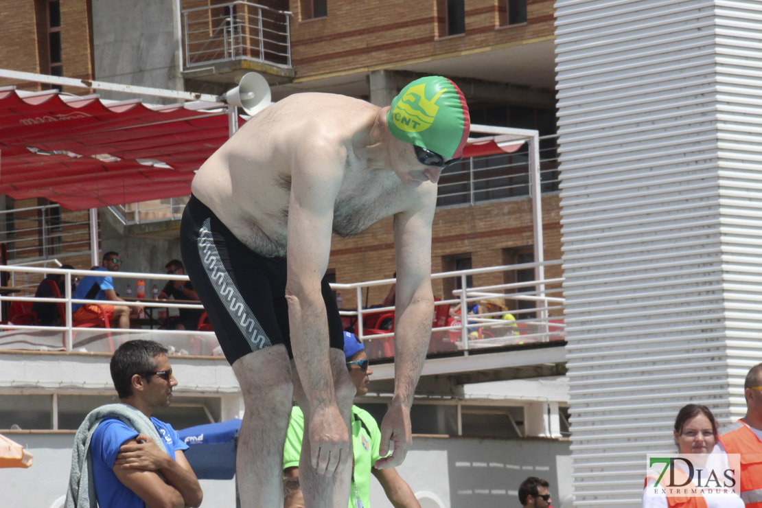 Imágenes del nacional de natación master en Badajoz II