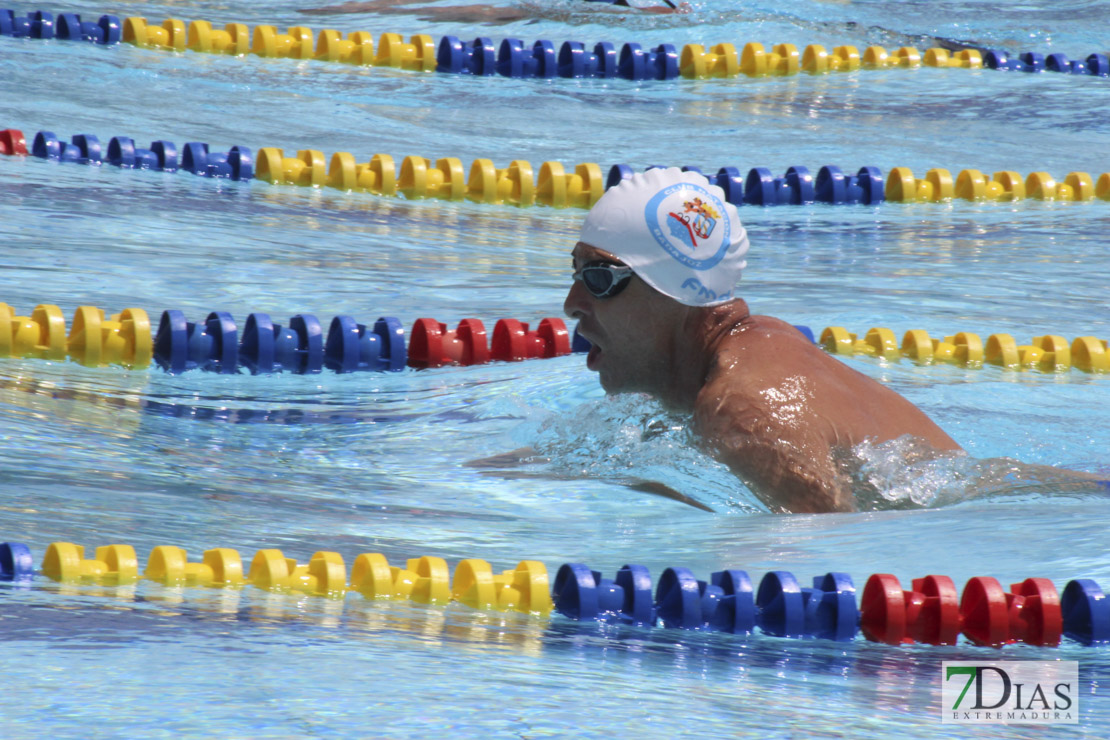 Imágenes del nacional de natación master en Badajoz II