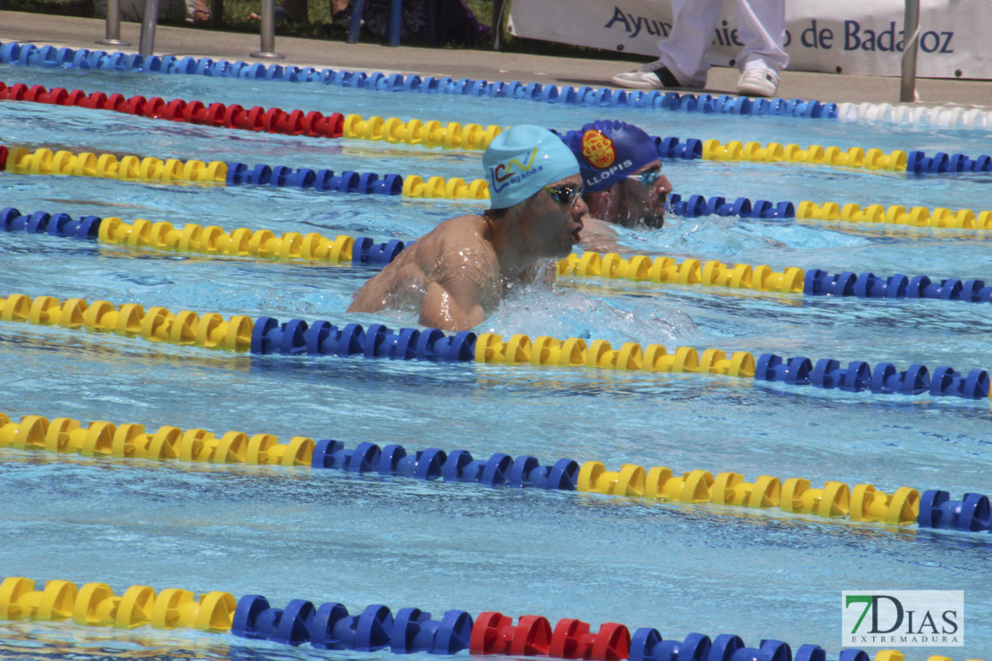 Imágenes del nacional de natación master en Badajoz II