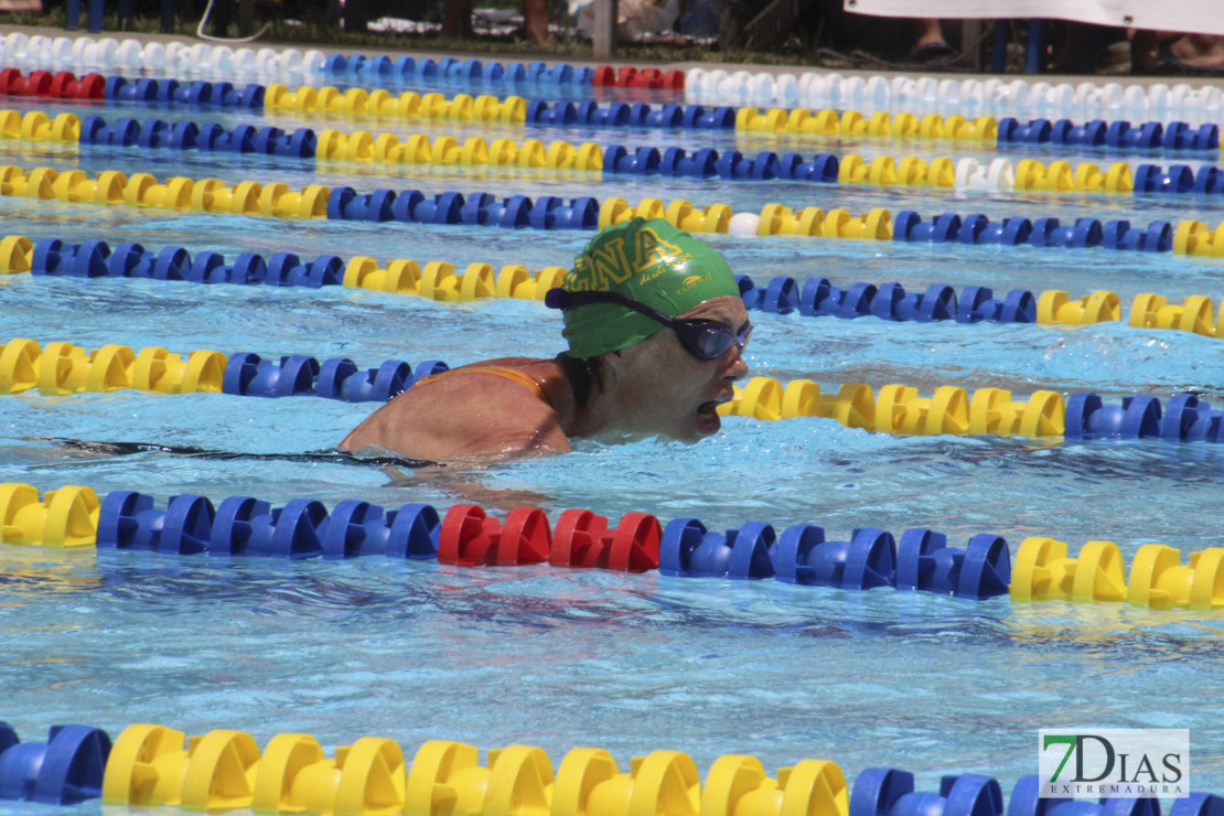 Imágenes del nacional de natación master en Badajoz II