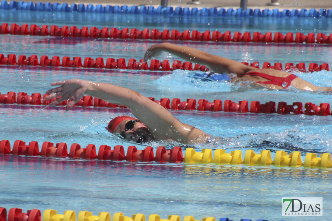 Imágenes del nacional de natación master en Badajoz II