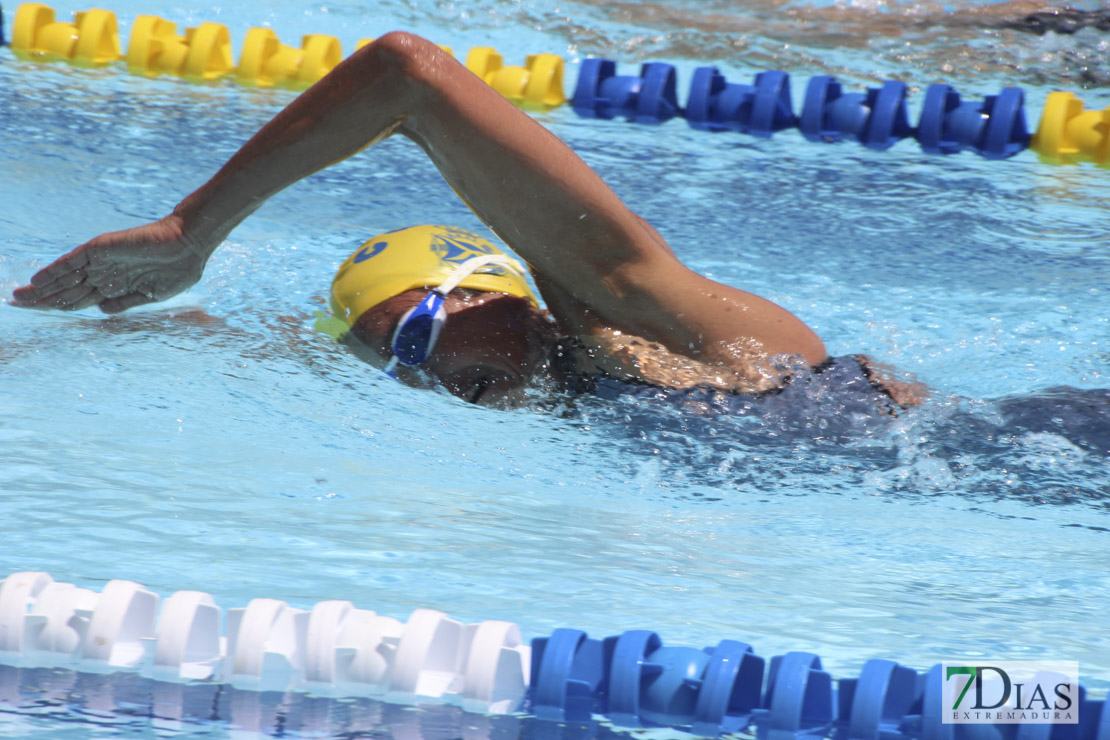 Imágenes del nacional de natación master en Badajoz II