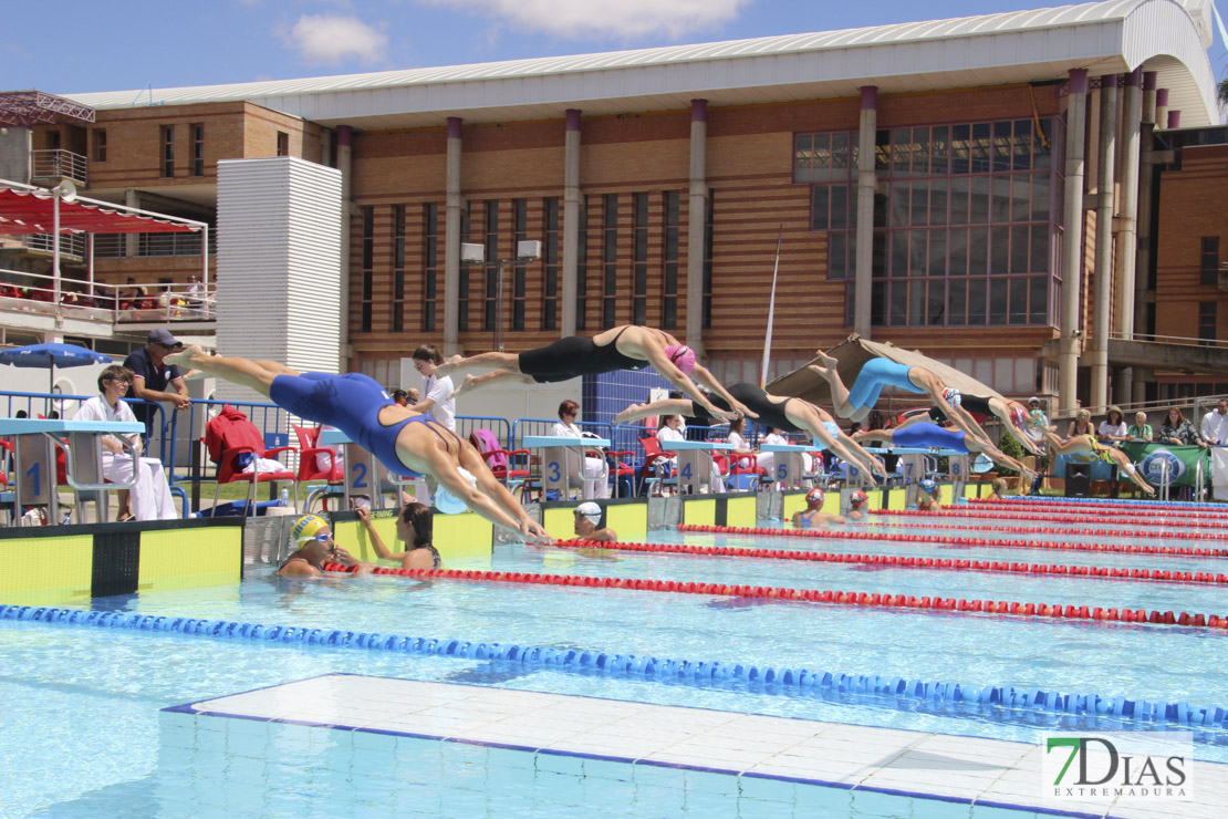 Imágenes del nacional de natación master en Badajoz II