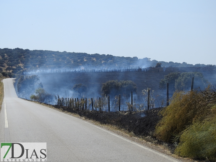 Gran dispositivo para sofocar un incendio en la vecina Elvas