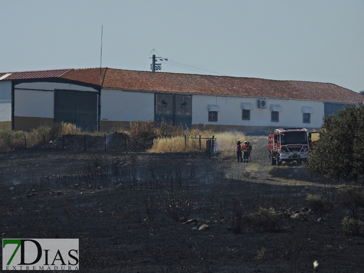 Gran dispositivo para sofocar un incendio en la vecina Elvas