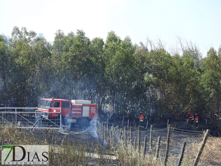 Gran dispositivo para sofocar un incendio en la vecina Elvas