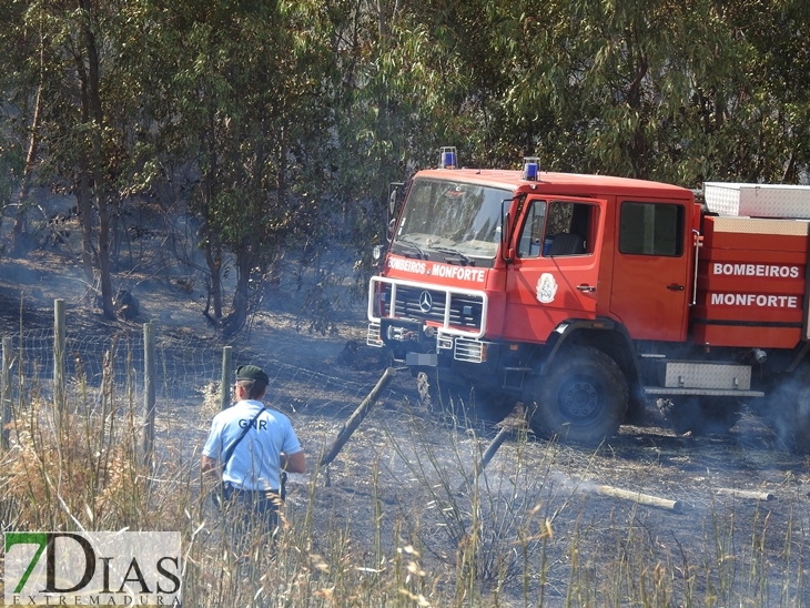 Gran dispositivo para sofocar un incendio en la vecina Elvas