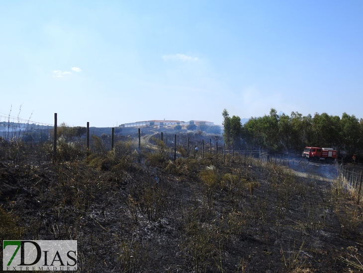 Gran dispositivo para sofocar un incendio en la vecina Elvas