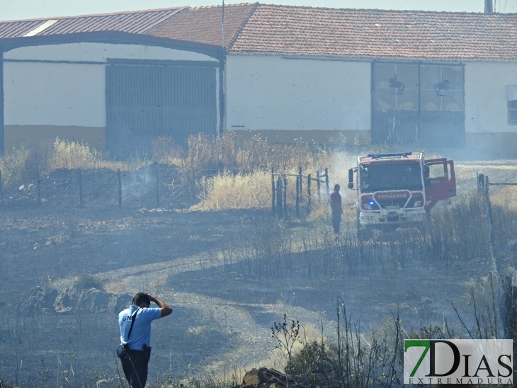 Gran dispositivo para sofocar un incendio en la vecina Elvas