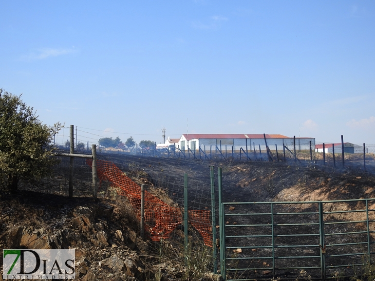 Gran dispositivo para sofocar un incendio en la vecina Elvas