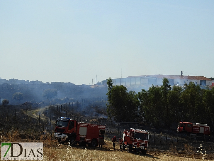 Gran dispositivo para sofocar un incendio en la vecina Elvas