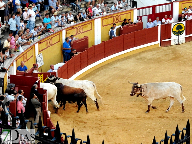 Imágenes de la segunda corrida de toros de la Feria de San Juan en Badajoz