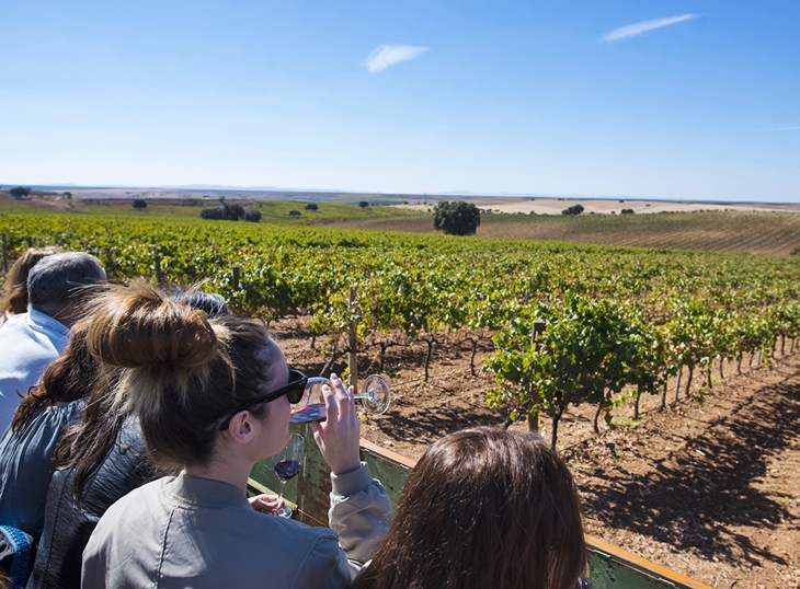 Gran momento para los vinos D.O. Ribera del Guadiana