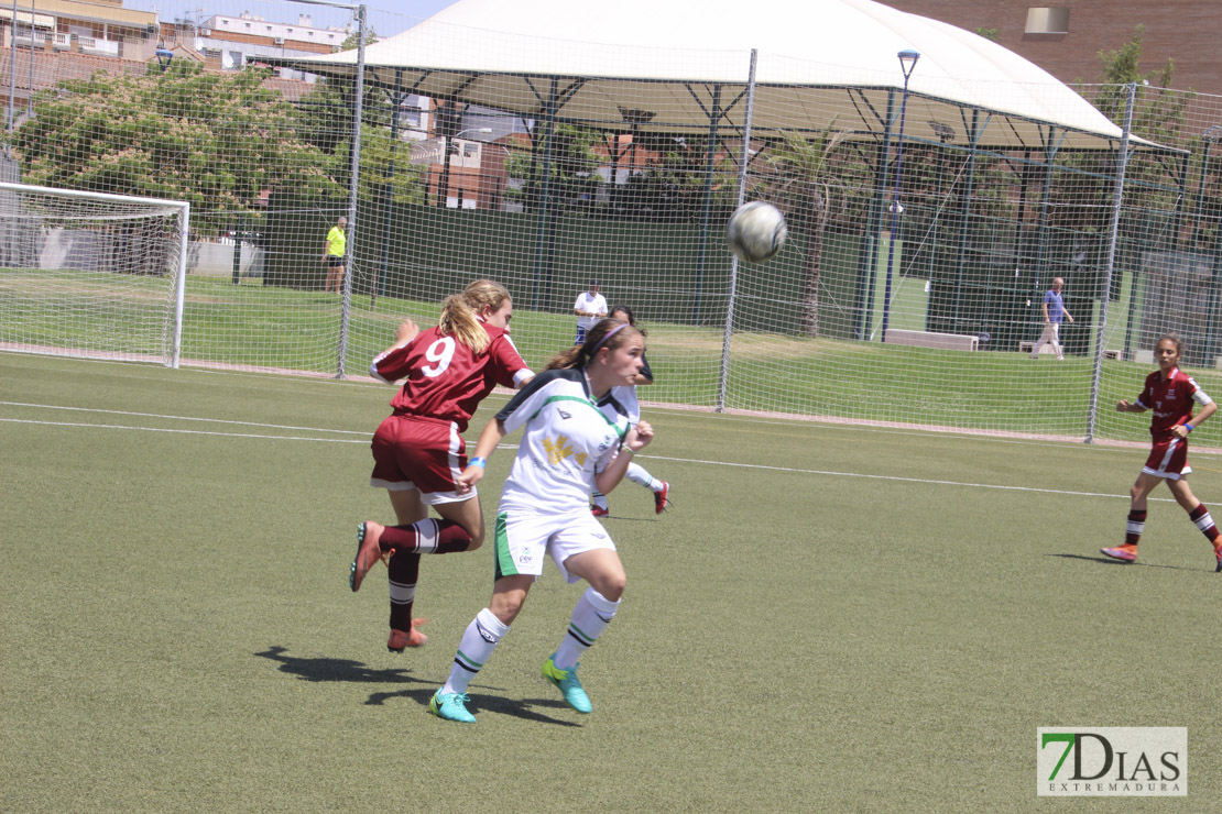 Imágenes de la final de la VII Women&#39;s Cup