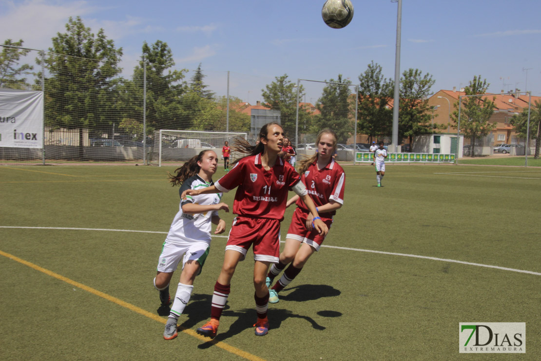 Imágenes de la final de la VII Women&#39;s Cup