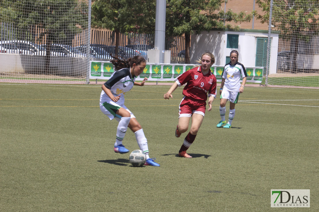 Imágenes de la final de la VII Women&#39;s Cup