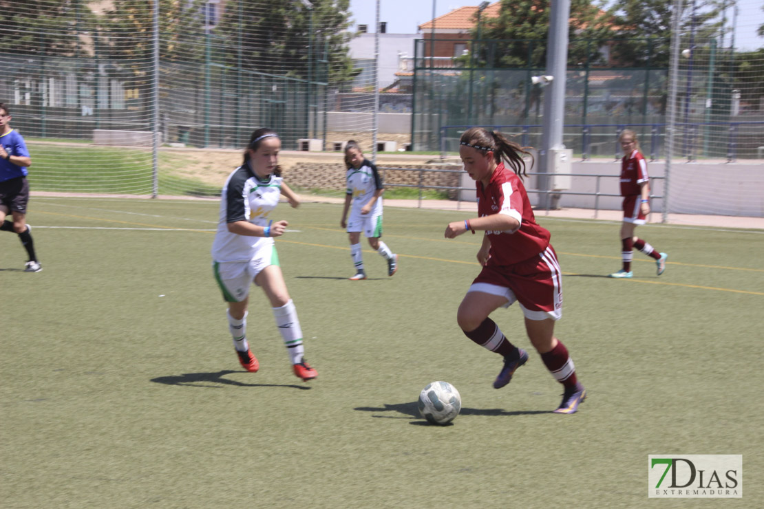 Imágenes de la final de la VII Women&#39;s Cup