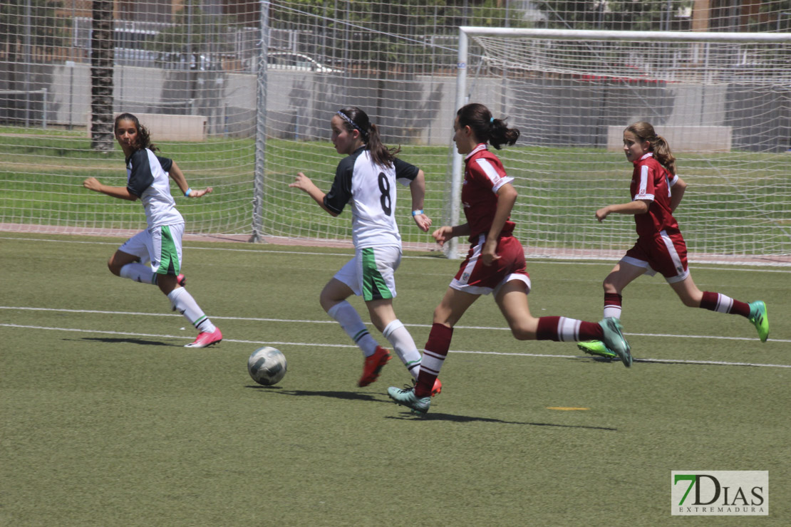 Imágenes de la final de la VII Women&#39;s Cup