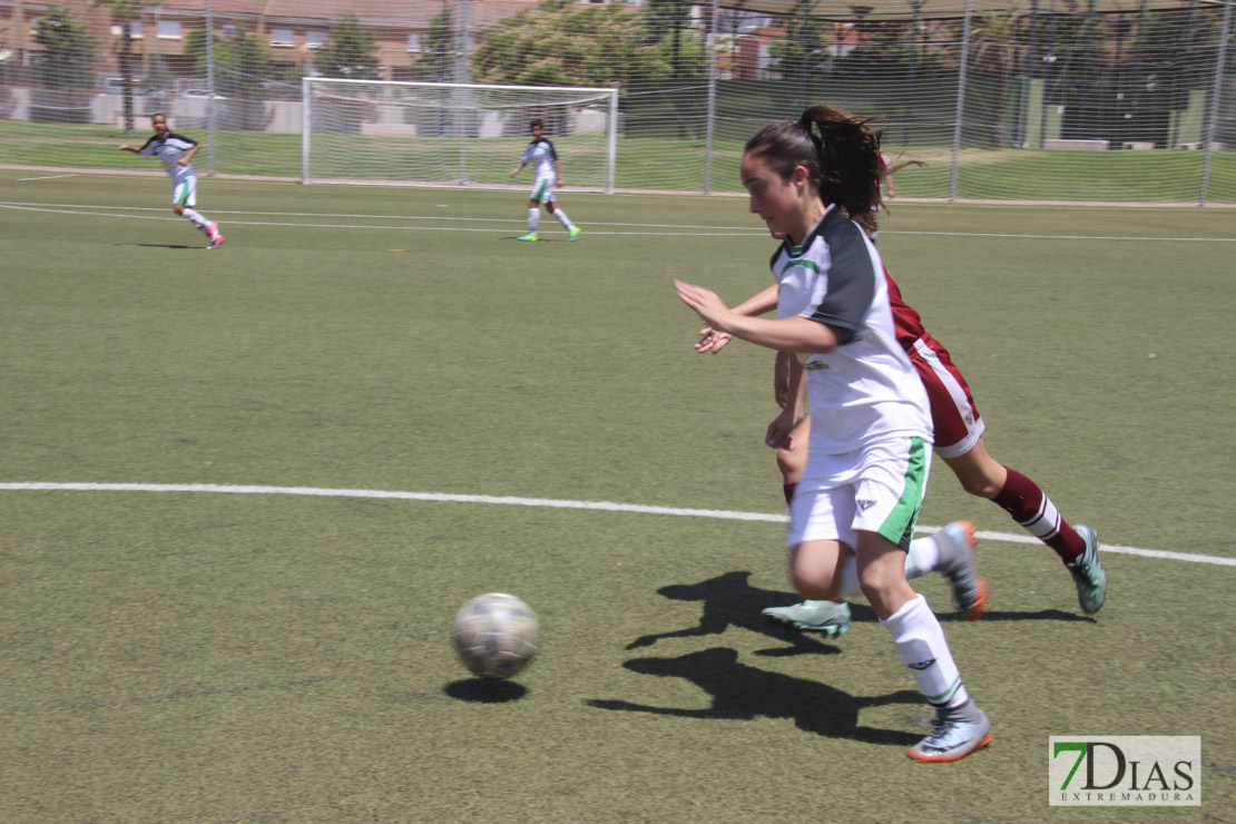 Imágenes de la final de la VII Women&#39;s Cup