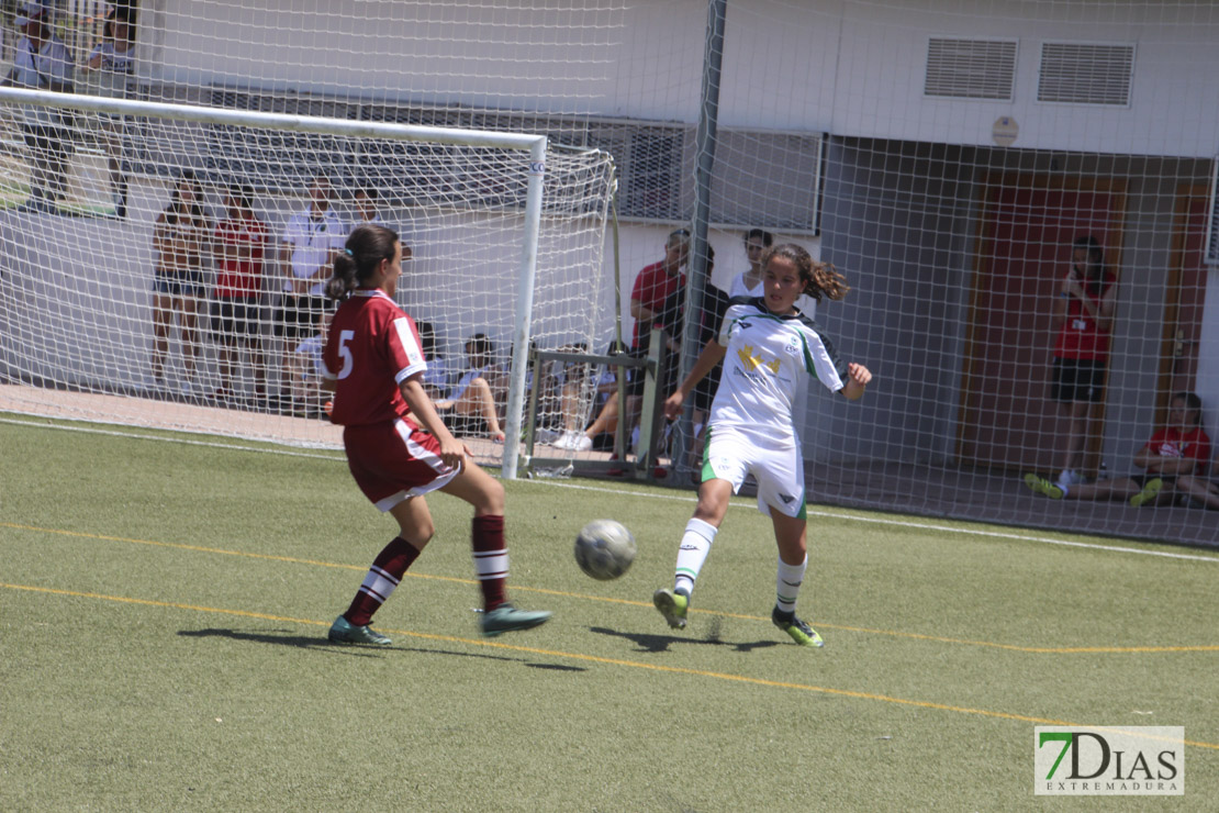 Imágenes de la final de la VII Women&#39;s Cup