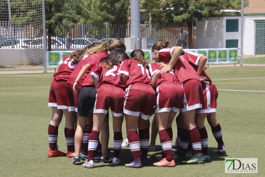 Imágenes de la final de la VII Women&#39;s Cup