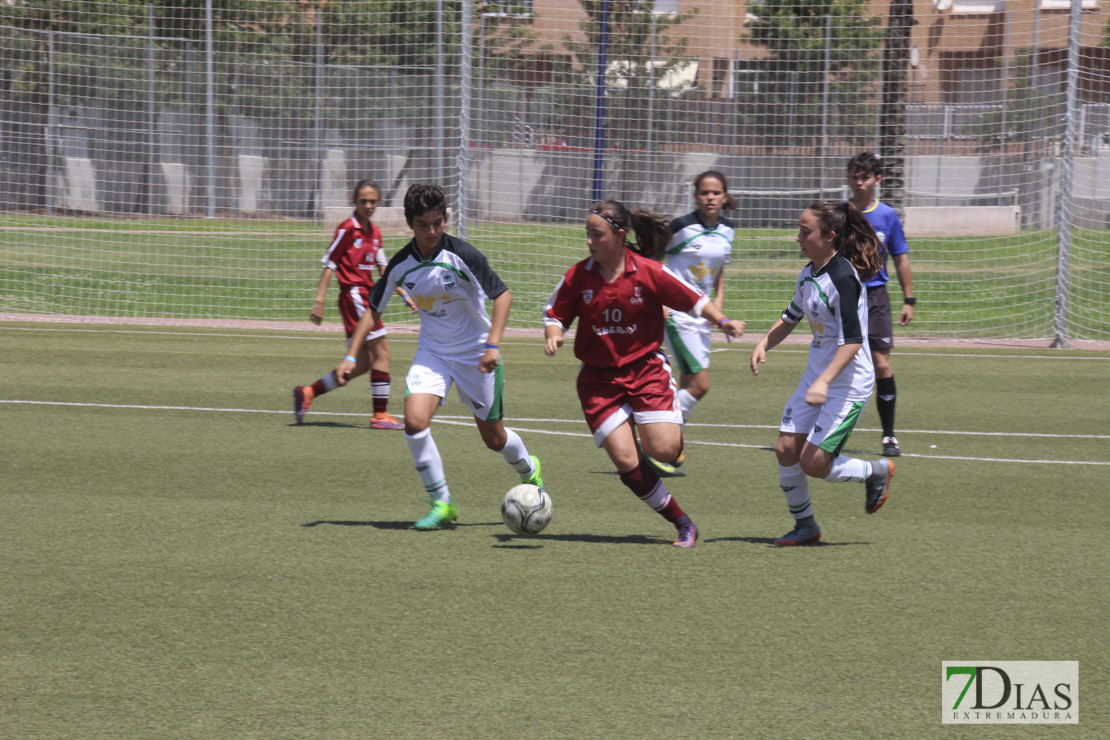 Imágenes de la final de la VII Women&#39;s Cup